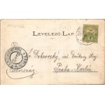 1905 Hatvan, Cukorgyár, gőzmalom. Hoffmann M. L. kiadása (fa)