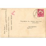 1929 Kemecse, birtok, telek. photo