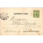 1906 Komádi, Erzsébet fürdő. Adamis Kolb, Osváth kiadása. Kolb R. eredeti felvétele után Helyfi László (EK)
