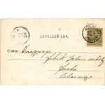 1903 Leányfalu, látkép, nyaralók. K. K. kiadása (ázott sarok / wet corner)