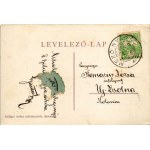 1911 Mezőnyárád, Báró Majthényi kastély, Silbiger kastély, Római katolikus templom, Községháza, Postahivatal télen. Szilágyi Arthur műintézetéből (kicsit ázott sarok / slightly wet corner)