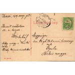 1907 Pásztó, Városháza, Müller Dezső szíjgyártó üzlete. (W.L.?) No. 963-968.
