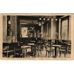 Szombathely, Graf József-féle Hotel Herczeg szálloda, kávéház és cukrászda, belső. Dukesz Jenő kiadása (EK)