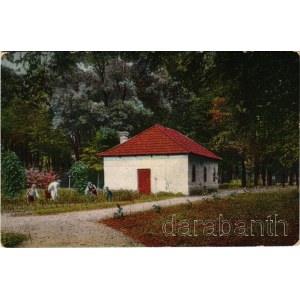 1918 Alváca, Alváca-gyógyfürdő, Vata de Jos (Hunyad); régi fürdőház. Berkovits Izidor kiadása / spa, old bathhouse (apró szakadás / tiny tear)