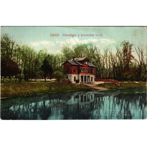 1909 Arad, Városliget a korcsolya tóval. Pichler Sándor kiadása / park with skate pond (ázott sarok / wet corner)