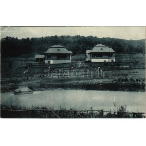 Báznafürdő, Baile Bazna, Bad-Baassen; Villa Éltető. Franz Wendler kiadása / villa (EK)