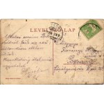 1910 Bikszád-gyógyfürdő, Bicsad, Baile Bixad; Mária lak. Divald Károly fia kiadása / villa (fa)