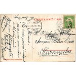 1909 Boksánbánya, Németbogsán, Deutsch-Bogsan, Bocsa Montana; utcai részlet. Rosner Adolf kiadása / Strassenpartie / street view (EM)