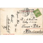 1909 Boksánbánya, Németbogsán, Deutsch-Bogsan, Bocsa Montana; utcai részlet. Rosner Adolf kiadása / Strassenpartie / street view + RESICZA - VOJTEK 96 vasúti mozgóposta bélyegző (EM)