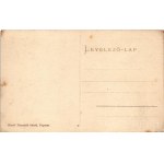 1917 Fogaras, Fagaras; Olt híd, Apafi fejedelem kastélya, vár. Thierfeld Dávid kiadása / Altbrücke / bridge, castle (kis szakadás / small tear)