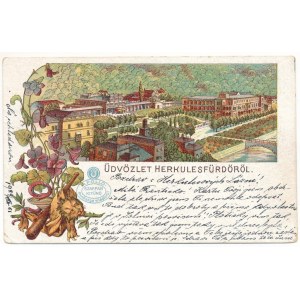 1901 Herkulesfürdő, Baile Herculane; fürdő, szecessziós-virágos litho Apollo szappan reklámmal / spa. Art Nouveau, floral, litho with Apollo soap advertisement (EB)