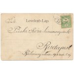 1909 Hídvég, Haghig; Gróf Nemes kastély, vasútállomás, Pannonia vendéglő, étterem, községháza, Román ortodox templom. J. E. Steegmüller kiadása és felvétele / castle, railway station, restaurant, town hall, Romanian Orthodox church (fa)