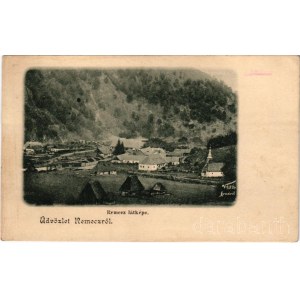 Jádremete, Remecz (Remete), Remeti; látkép, templom, fűrésztelep. Vágó felvétele (Arad) / general view, church, forest industry, sawmill (r)