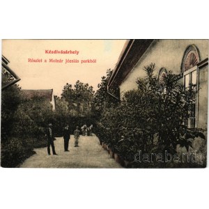 1907 Kézdivásárhely, Targu Secuiesc; részlet a Molnár Józsiás parkból / park