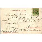 1907 Kézdivásárhely, Targu Secuiesc; részlet a Molnár Józsiás parkból / park