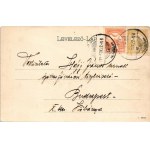 1911 Lippa, Lipova; utca, piac. Zeitler Lajos kiadása / street view, market (Rb)