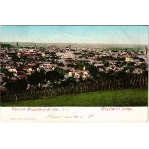 1905 Nagyvárad, Oradea; látkép. Helyfi László kiadása / general view (EK)