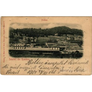 1901 Predeál, Predeal; Salutari din Romania / látkép, vasútállomás, gőzmozdony, vonat, nyaralók. Ad. Maier &amp; D. Stern / general view, railway station, train, locomotive, villas (lyukak / pinholes)