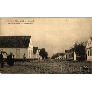 Temeshidegkút, Hidegkút, Sabran-Guttenbrunn, Zabrani; Aradi út, utcakép. Johann Nebel kiadása / street view