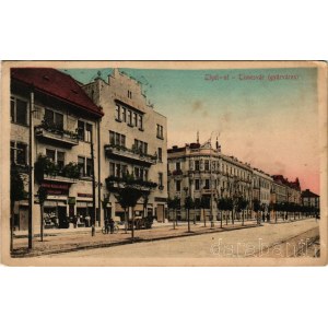 1912 Temesvár, Timisoara; Gyárváros, Liget út, sírkő raktár, papírkereskedés. Feder R. Ferenc saját felvétele és kiadása / street, tombstone warehouse, shops (EM)