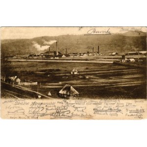 1902 Nagybocskó, Velikij Bicskiv, Velykyy Bychkiv (Máramaros); Klotild első magyar vegyipari részv. társ. gyártelep. Berger Miksa kiadása / chemical factory (Rb)