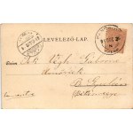 1899 Pancsova, Pancevo; Sztarcsovai út, üzletek. Kohn Samu kiadása / Starcsovaer Gasse / street, shops