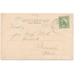 1908 Szávaszentdemeter, Mitrovice, Mitrovitz an der Save, Sremska Mitrovica; Továrna na extrakt z dubového dreva / tanningyár / oak wood extract factory (EM)