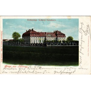 1900 Féltorony, Halbturn; Habsburg Frigyes főherceg kastélya. Isidor Schey kiadása / Erzherzogl. Schloss Halbthurn / castle (EM)