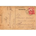 1918 Lajtaszentmiklós, Neudörfl an der Leitha; Bahn, Gasthaus, Totale / vasútállomás, Schachinger Vincce vendéglője, látkép. Schön kiadása, szecessziós keret / railway station, restaurant, general view. Art Nouveau - 12,1 cm x 8 cm (fl)