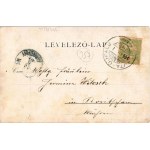 1904 Lajtaújfalu, Neufeld an der Leitha; Handlungshaus von Friedrich Bábits, Erste ungarische Jute-Fabrik / Első Magyar Juta-Fonó és Szövőgyár, Bábits Frigyes üzlete / First Hungarian Jute Spinning and Weaving Factory, shop of Bábits (fl)