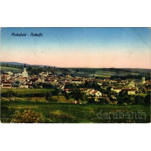1915 Pinkafő, Pinkafeld; látkép. Karl Strobl kiadása / general view (EK)