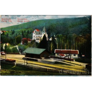 1914 Savanyúkút, Bad Sauerbrunn bei Wiener Neustadt; Hartig villa, vasútállomás. Hönigsberg Frigyes kiadása / villa, railway station + NAGYKANIZSA - WIEN 24 B vasúti mozgóposta bélyegző (EB)