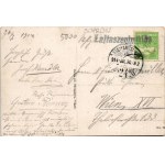1914 Savanyúkút, Bad Sauerbrunn bei Wiener Neustadt; Hartig villa, vasútállomás. Hönigsberg Frigyes kiadása / villa, railway station + NAGYKANIZSA - WIEN 24 B vasúti mozgóposta bélyegző (EB)