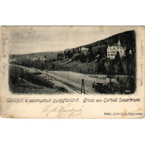 1905 Savanyúkút, Bad Sauerbrunn bei Wiener Neustadt; Hartig villa, vasútállomás. Schön Samu kiadása / villa, railway station + BÉCS - NAGYKANIZSA 138. SZ. vasúti mozgóposta bélyegző (kopott sarkak / worn corners)