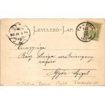 1903 Tarcsa, Tarcsafürdő, Bad Tatzmannsdorf; Mária villa. Hönigmann kiadása, szecessziós-virágos keret / villa, spa. Art Nouveau, floral (EK)