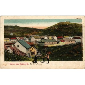 1906 Kalinovik, general view (r)