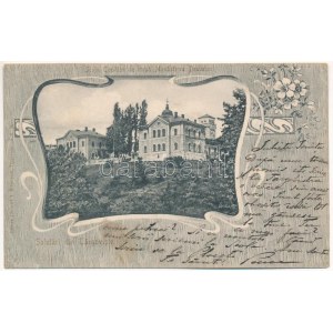 Targoviste, Tergovistye, Tirgovics; Scola Copiilor de trupa Monastirea Dealului / monastery. Art Nouveau, floral (Rb)