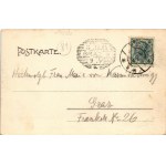 1904 Celje, Cilli; Burgruine von Süden / castle ruins. Verlag Fritz Rasch