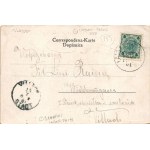 1901 Kranjska Gora, Kronau; general view. Verlag F. Budinek (EK)