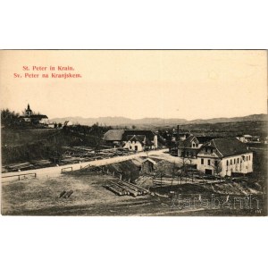Pivka (Sv Peter na Kranjskem), San Pietro del Carso; Hotel St. Peter, forestry, sawmill (cut)