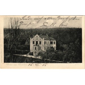 1905 Slovenske Konjice, Gonobitz; villa. Martin Ogoreve