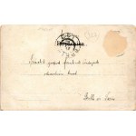1904 Vipava, Wippach; general view, castle ruins. M. Seber (EM)