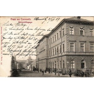 1909 Chernivtsi, Czernowitz, Cernauti, Csernyivci (Bukovina, Bucovina, Bukowina); Universitätsgasse. Verlag Leon König / University Street (EK)