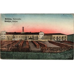 1918 Deliatyn, Delatyn; Salzwerke / Salina / saltworks, factory (EB)