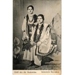 Vedi simili