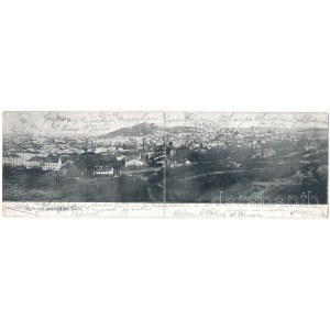 Lviv, Lwów, Lemberg; 2-tiled folding panoramacard (worn at fold)