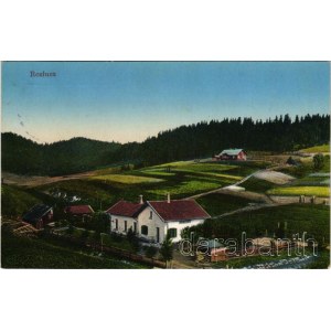 1914 Rozluch, Rozlucz, Roslutsch; general view, village. Verlag M. Grossman