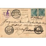 1903 Poodle, Emb. litho dog art postcard (EK)