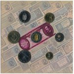 2002. 1Ft-100Ft (8xklf) forgalmi sor szettben, közte 100Ft Kossuth T:BU Hungary 2002. 1 Forint - 100 Forint (8xdiff) coin set, within 100 Forint Kossuth in case C:BU Adamo FO35