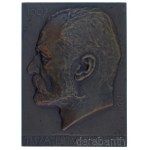 Beck Ötvös Fülöp (1873-1945) 1907. "Tisza István gróf" egyoldalas bronz plakett (75x54mm) T:AU,XF Hungary 1907. "Tisza István gróf" one-sided bronze plaque. Sign.: "Fülöp Beck Ötvös" (75x54mm) C:AU,XF HP.: 866.